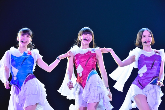 第3位：Perfume（ライブ回数：7回）
